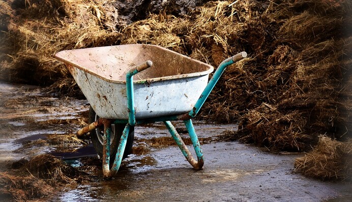 Подкормка коровяком: для каких растений подходит и как правильно использовать удобрение