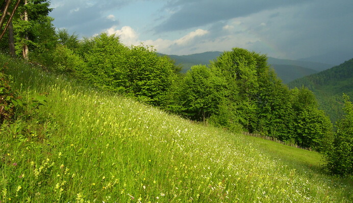 Зірки обіцяють дуже вдалий тиждень: астропрогноз з 24 по 30 червня