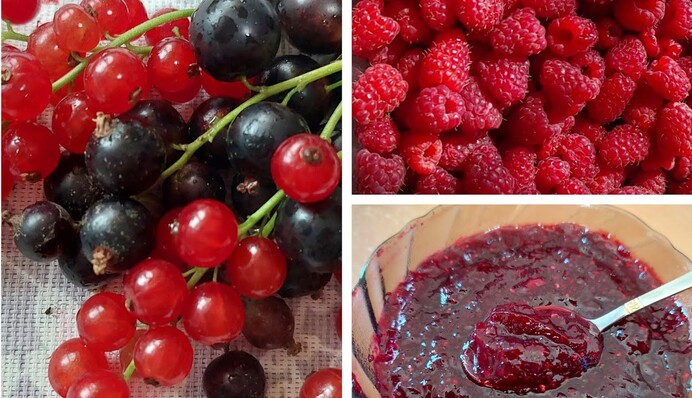 Як приготувати царське варення з порічок: вдалий рецепт для випічки