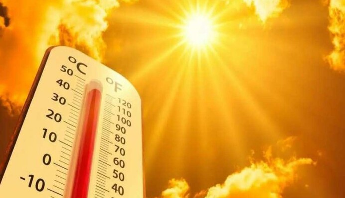 Жара чи спека: як сказати правильно українською, щоб не зганьбитися