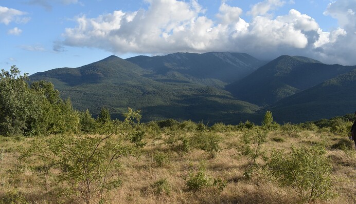 Крым готовят к украинской осаде. Оккупанты бегут в Россию