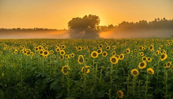 В цей день моляться за дітей і сімейне щастя: яке свято 25 липня і що треба обов'язково зробити