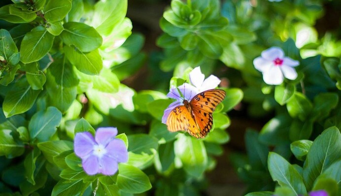 Сьогодні моляться за зцілення поранених військових: яке свято 27 липня і що категорично заборонено робити