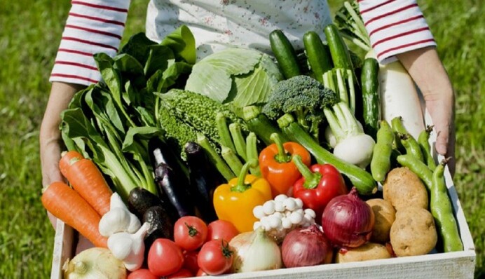 Що і коли робити на городі у серпні за місячним календарем