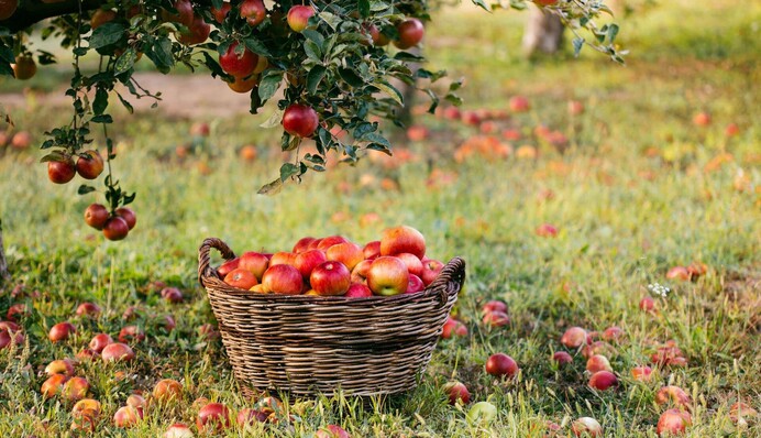 Робіть сьогодні все мовчки: яке свято 3 серпня і чому в цей день заборонено говорити