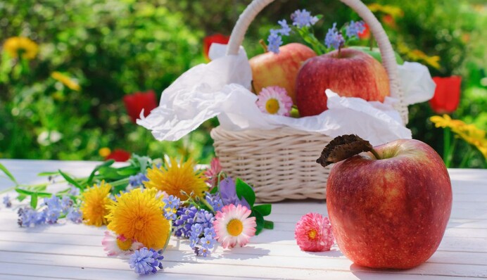 Яблучний Спас -2024: як святкувати і що приготувати на свято