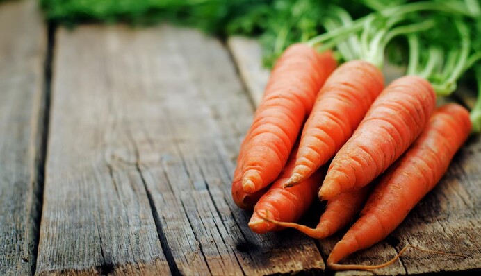 Коли можна копати моркву: ознаки дозрівання і правила зберігання