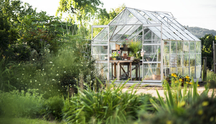 Посівний календар на вересень-2024: чи можна ще щось садити на городі