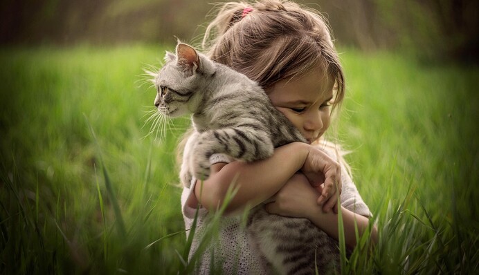 Що не так на зображенні дівчинки з кошеням: розгадайте головоломку за 7 секунд