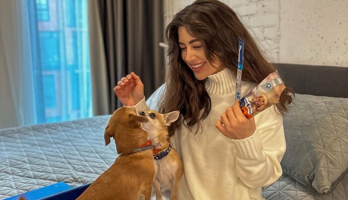 Може зупинитися серце: Раміна дала важливу пораду, як заспокоїти чіхуахуа під час обстрілів