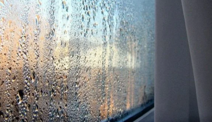 Як захистити свій будинок від надмірної вологості: 5 порад, щоб позбутися грибка і цвілі