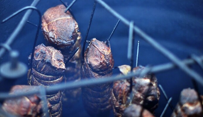 Это мы едим на Пасху и таким должен быть борщ: Клопотенко раскрыл важную кулинарную традицию украинцев