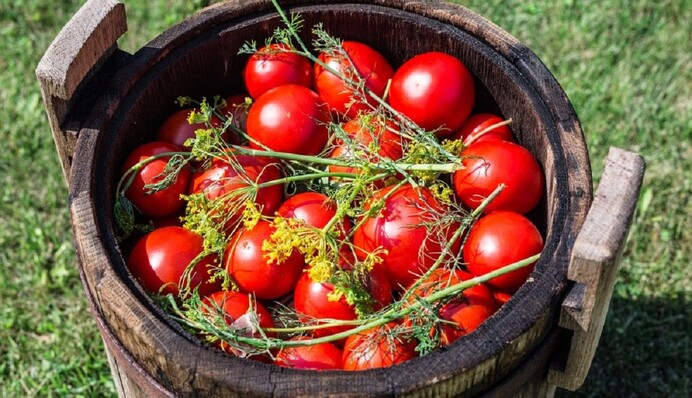 Настоящие квашеные помидоры на зиму 