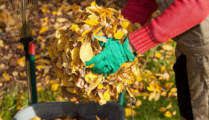 Завершуємо сезон: місячний календар городника на жовтень