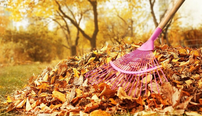 Как сделать ценное экологическое удобрение из опавших листьев - советы дачникам