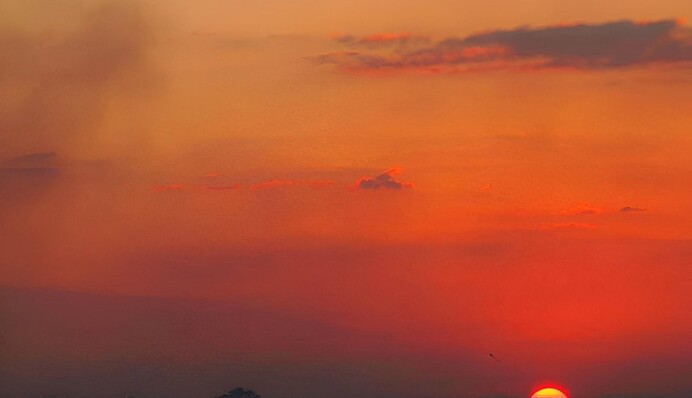 У художника было чувство юмора: найдите ошибку на картинке-головоломке