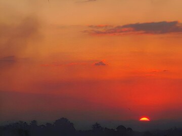 Художник мав почуття гумору: знайдіть помилку на картинці-головоломці