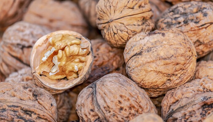 Як зберігати горіхи, щоб вони довше були свіжими: важливі правила