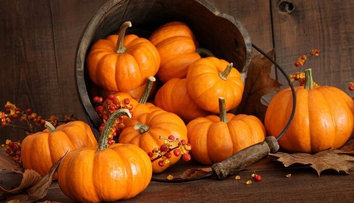 Найдите 5 отличий на осенней картинке - у вас есть 11 секунд