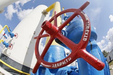 Президент Турции считает гитлеровскую Германию примером для подражания