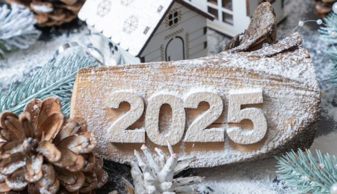 Зустрічаємо Новий рік-2025: що поставити на стіл, щоб задобрити Змію