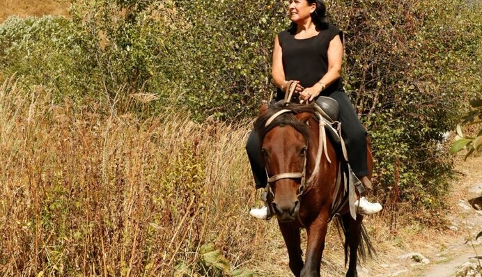 «Поповнення опозиції у вигнанні». Чи є капітуляцією останні кроки президентки Грузії