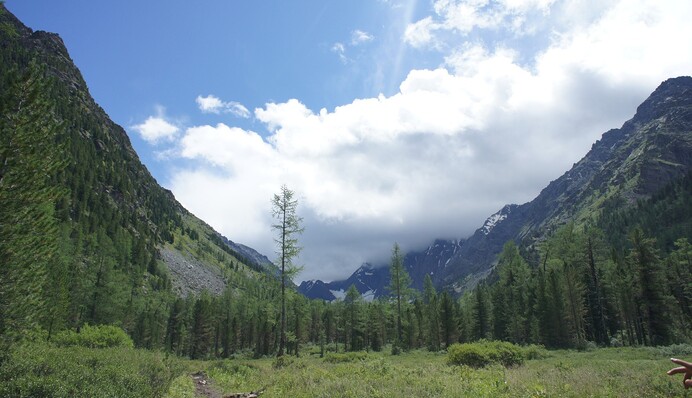 Сделка на 6 триллионов. Может ли Трамп купить Россию?