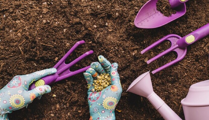 Як зробити найкращий ґрунт для розсади в домашніх умовах