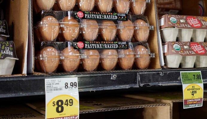 Не простое, а золотое: может ли Украина спасти США от дефицита яиц?