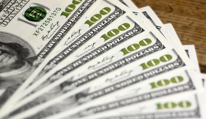 Між війною та миром: яким буде курс долара 2025 року