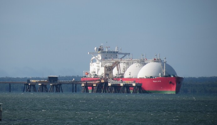 American gas for Ukraine: a business project or a gift to Trump?