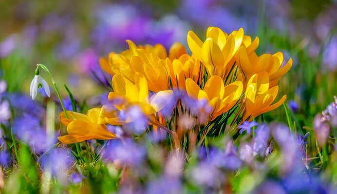 День весеннего равноденствия-2025: когда отмечают и что значит эта особая дата