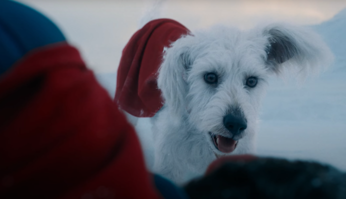 Пес нового «Супермена» поразил зрителей