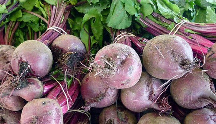 Свекла размером с боксерский кулак: чем нужно поливать овощ летом