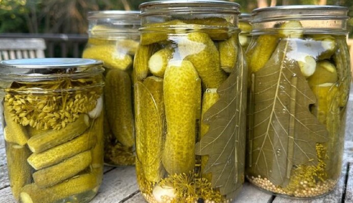 Хозяйкам на заметку: какую соль нельзя использовать во время консервирования