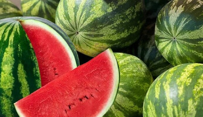 Сезон арбузов: какую ягоду категорически нельзя есть