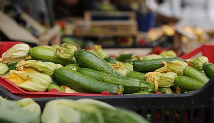 Вода и молоко: простой раствор сделает с кабачками невиданное