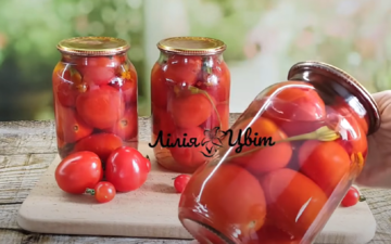 Маринованные помидоры с бархатцами: попробуйте, если хочется чего-нибудь новенького