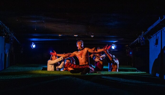 Онлайн-трансляція вистави: відеоверсію 