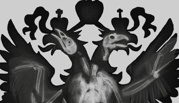 Украинский перевод книги о 