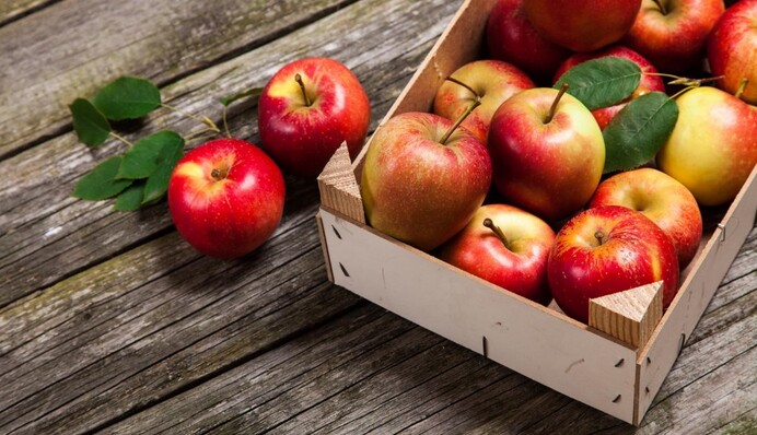 Секрет кроется в бумаге: как правильно хранить яблоки зимой