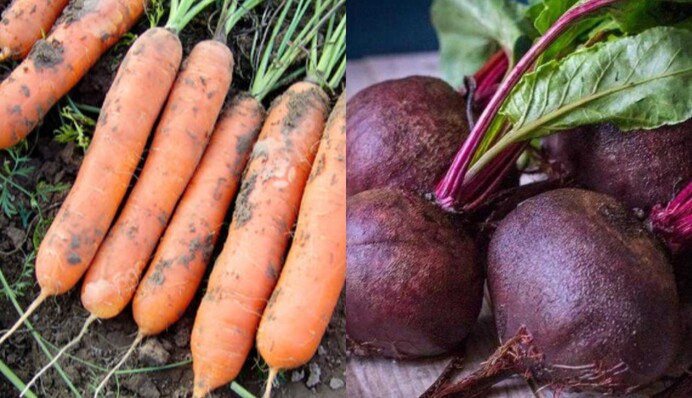 Буряк і морква наче щойно з грядки: як правильно зберігати овочі без льоху