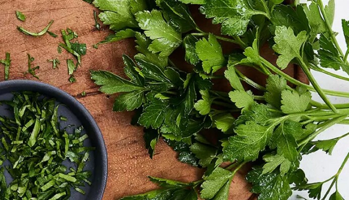 Свіжа петрушка навесні: коли потрібно сіяти зелень для доброго урожаю