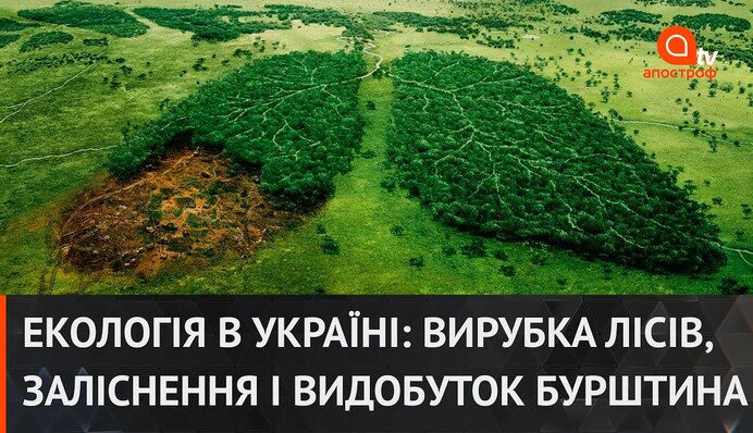 Экология в Украине: вырубка лесов, облесение и добыча янтаря