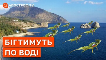 Бігтимуть по воді: чого чекати від окупантів на півдні України