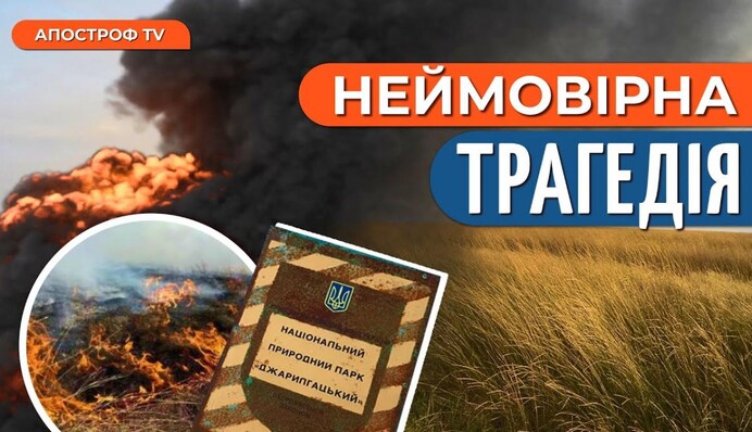 Пара устроила романтическую фотосессию в стиле "Звездных войн"