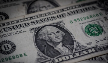 Доллар уже стоит 42 грн: каким будет валютный курс до конца года 