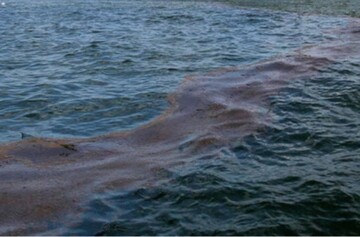 У побережья Крыма зафиксировали более 600 точек выброса метана