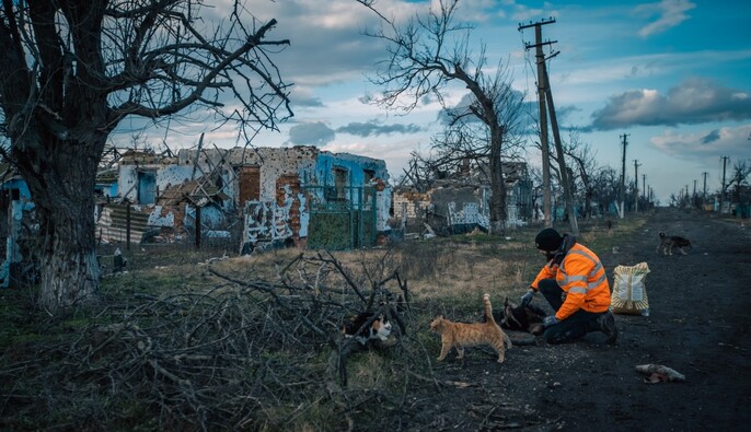 Влияние российской агрессии на природу Украины: на конференции ООН пройдет показ документальной ленты "Дивия"