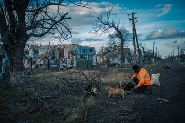 Вплив російської агресії на природу України: на конференції ООН пройде показ документальної стрічки "Дівія"